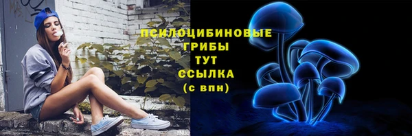 мет Абаза