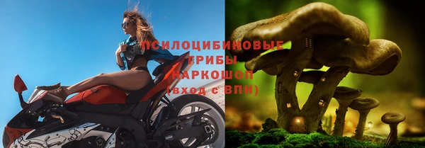 спайс Алзамай