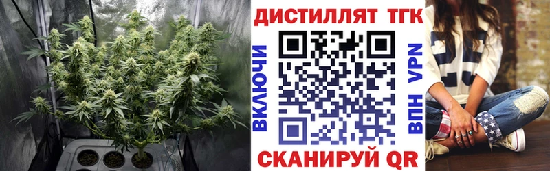даркнет телеграм  Змеиногорск  ТГК жижа  где купить наркоту 
